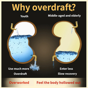 Chiết xuất nhân sâm Deer Whip kết hợp hương vị nấm đen để tăng cường sinh lực nam giới với hỗ trợ năng lượng thảo dược - Product Image 5