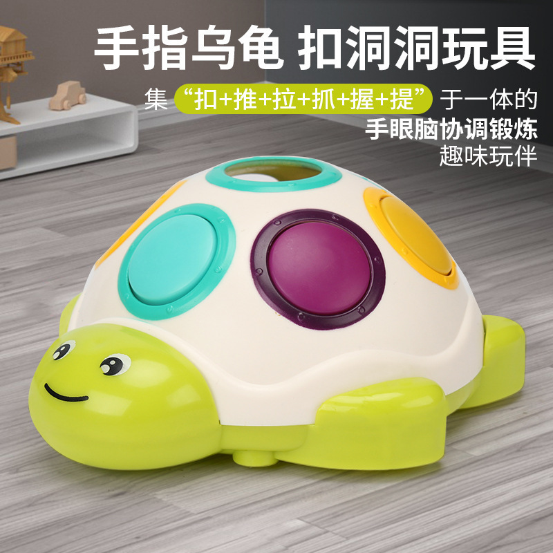 Little turtle with button hole-color box