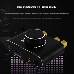 Best Selling Mini for Bt Power <strong>Amplifier</strong> Small Two-Channel Remote Control U Disk Direct Factory for Cross- - Product Image 2