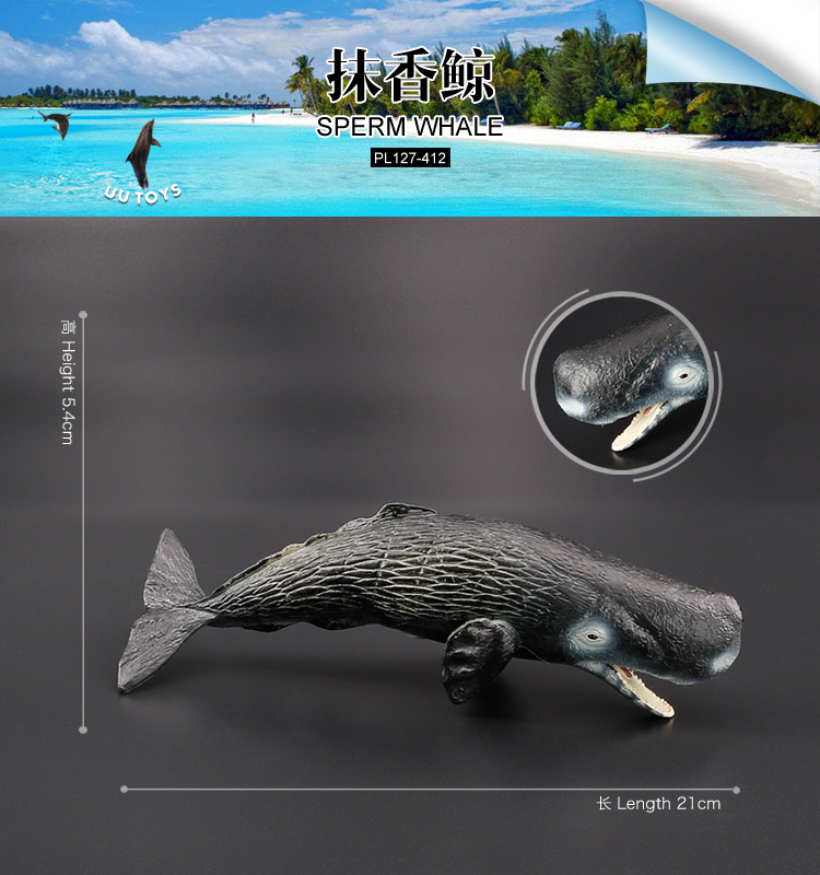 412 Baleine à sperme