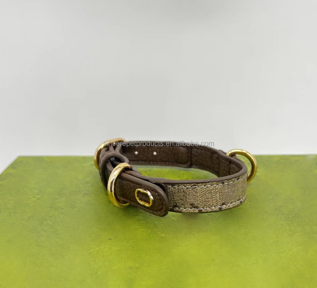 yang-collar