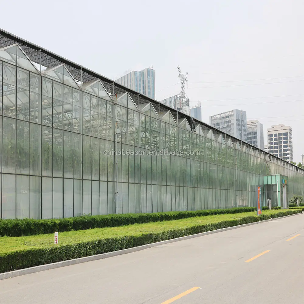 Agrotime Plastic film Greenhouse And Selling Used Polycarbonate Greenhouse