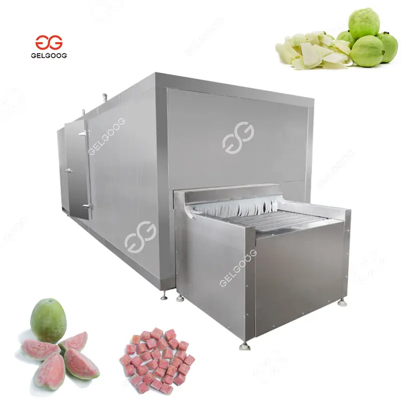 Gelgoog automatische Gefriermaschine 500 kg/h Mango-Eisfriermaschine Schockgefriervorrichtung Sprenggebläse für Obst