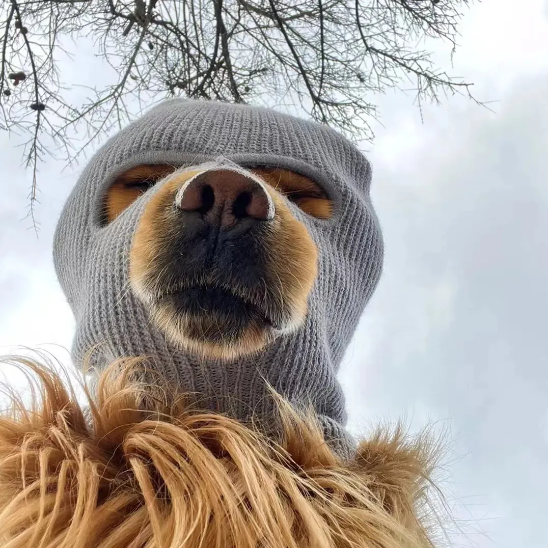 Sombrero de punto divertido para mascotas, disfraces de perros grandes, casco de esquí, máscara para perros, accesorios para fotos, producto para mascotas