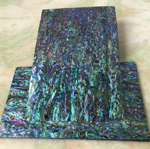 <strong>Paua</strong> Shell Sheet with Sticker - Product Image 3