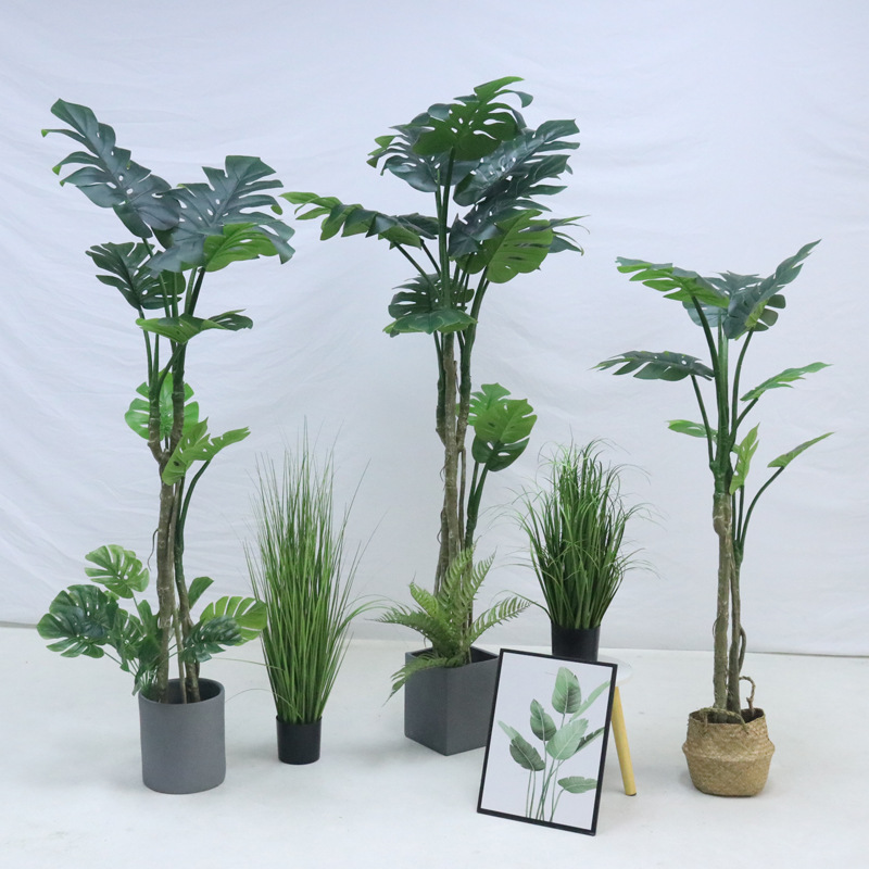 Monstera vert - style C#17