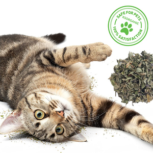 Hierba gatera triturada con hojas y tallo para gato, hierba gatera fresca a granel, 2023 - Product Image 3