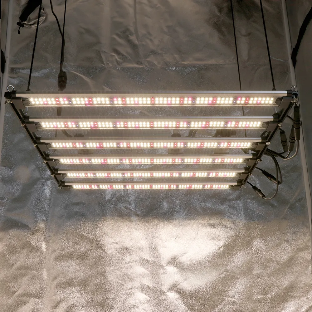 주도 식물 성장 빛 Lm301h 320W LED 성장 빛 공장 직접 전체 스펙트럼 240w 알루미늄 IP65 Led 전체 스펙트럼 성장 빛