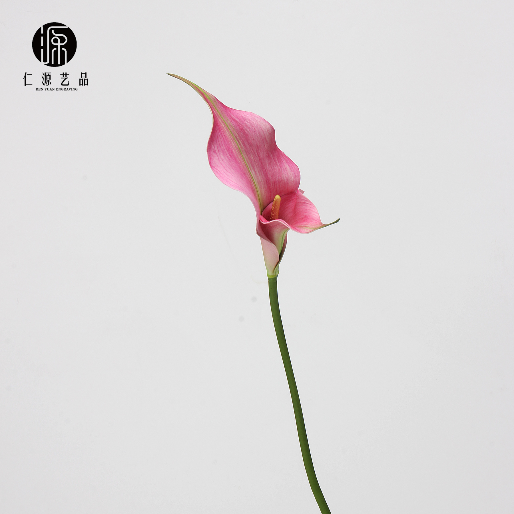 Double-headed pink