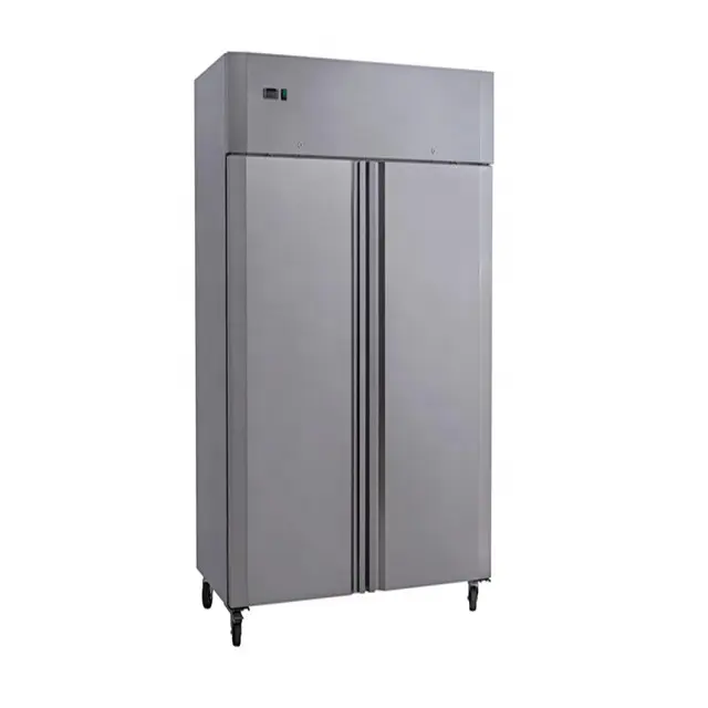 Ticari mutfak dik paslanmaz çelik iki kapı dondurucu buzdolabı
