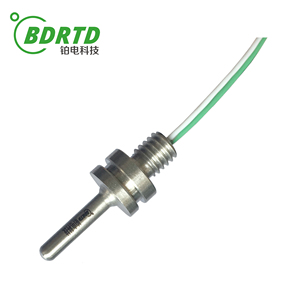 Ventas directas de fábrica Instalación roscada de alta precisión Resistencia de platino Sensor de temperatura PT1000 - Product Image 6