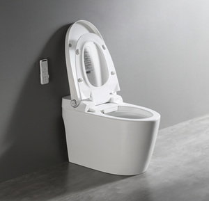 Simple Function Automatic Flushing Toilet 110V/220V Ceramic Toilet Smart Toilet <strong>Bidet</strong> - Product Image 5