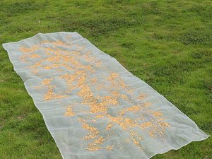 40 Mesh 8 square Meters Drying <strong>Net</strong> for Drying Millet and Sweet Potatoes HDPE Plastic <strong>Net</strong> Is Durable, Lightweight and Fly-proof
