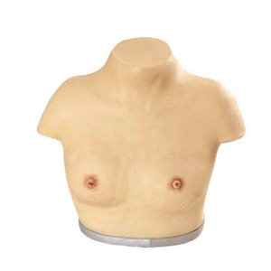 Advanced Medical Science Nursing Manikin Breast Clinic Inspection and <strong>Palpation</strong> Model Educational Equipment - Product Image 3