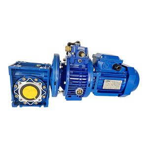 UDL002 Mechanical <strong>Variator</strong> with 0.12kw Three Phase Electrical Motor and NMRV050 Worm <strong>Speed</strong> <strong>Reducer</strong> - Product Image 5