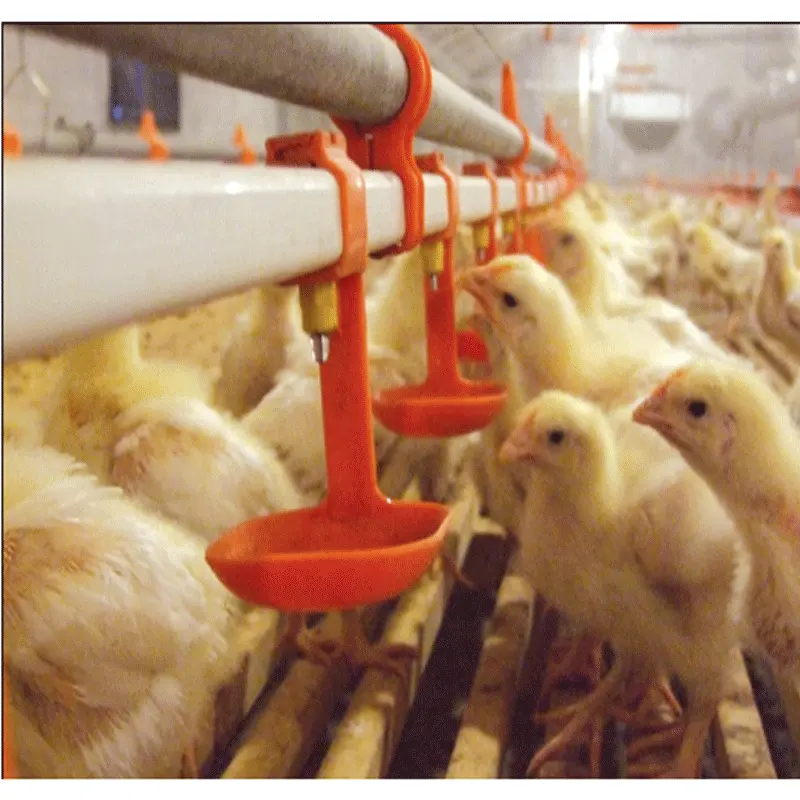 Goldenest Automatic Poultry Drinkers Chicken Nipple Drinking System