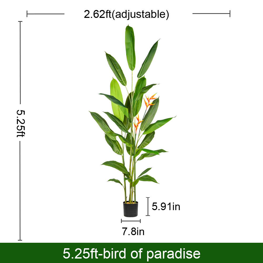 5,3 pieds/160 cm