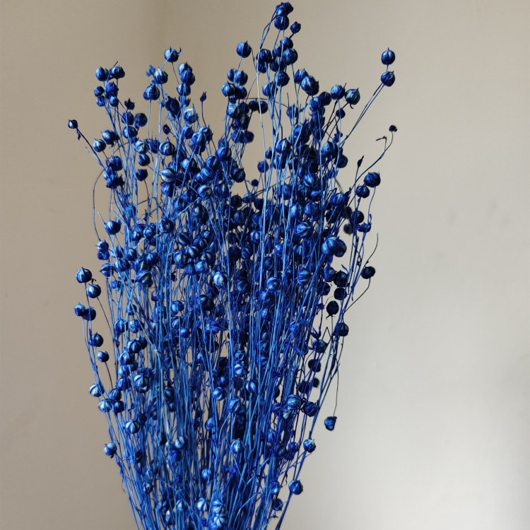 bleu royal