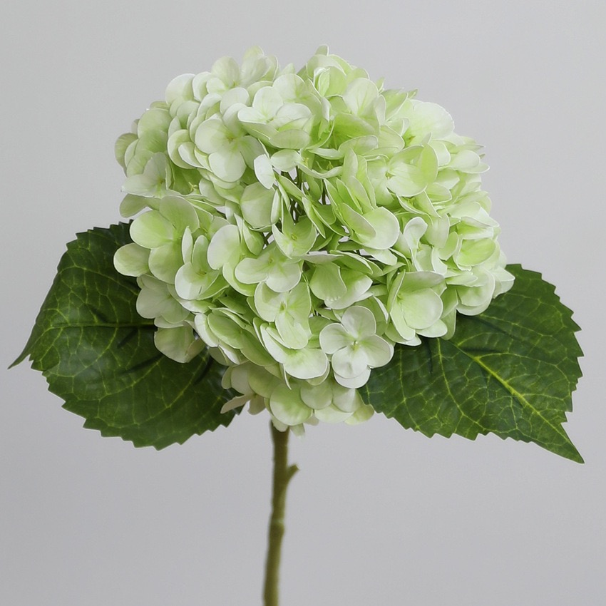 Verde chiaro