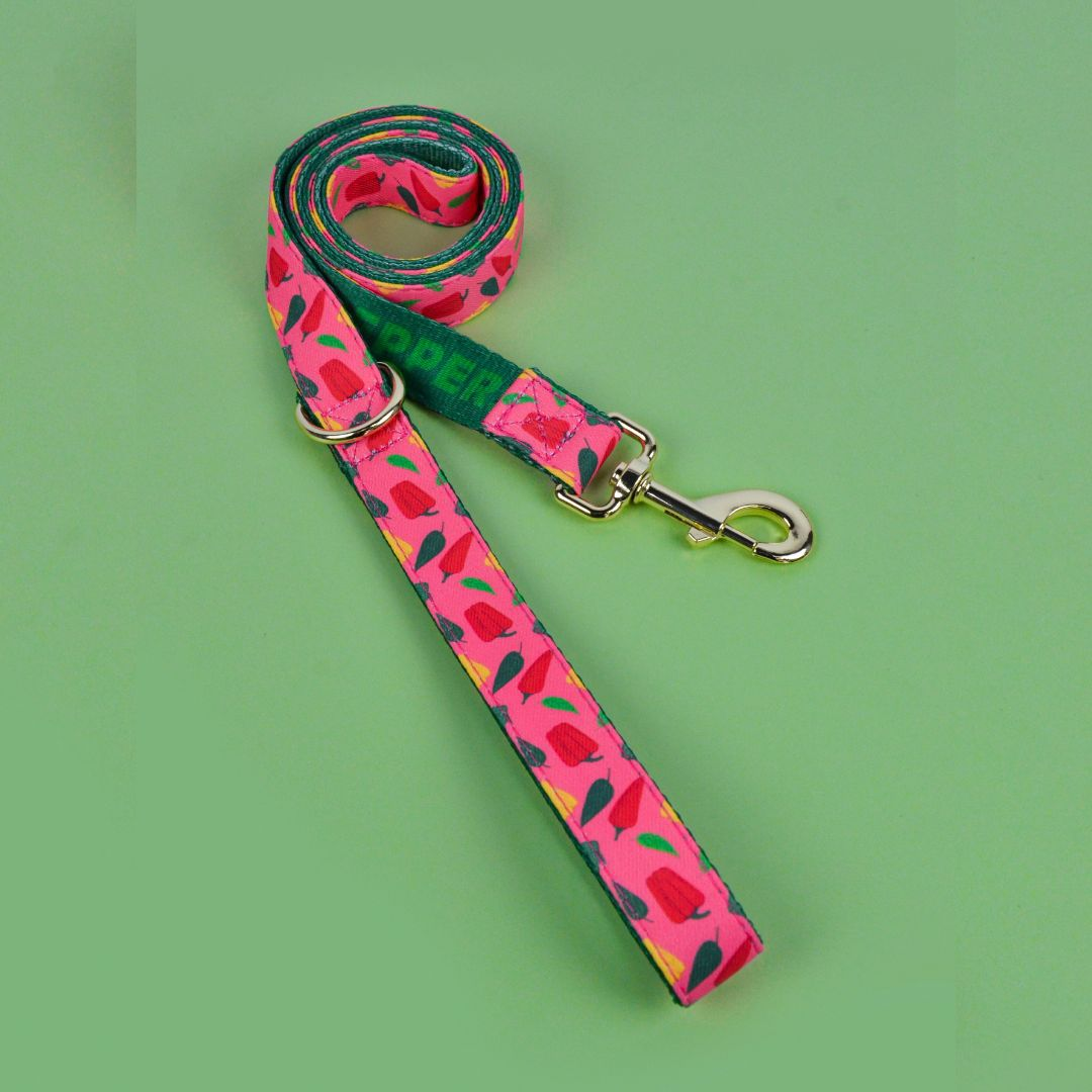 Leashes 1