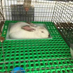 Кроличья ферма оцинкованная проволочная сетка для мам и малышей клетка для кроликов Коммерческая клетка для кроликов с подставкой - Product Image 2