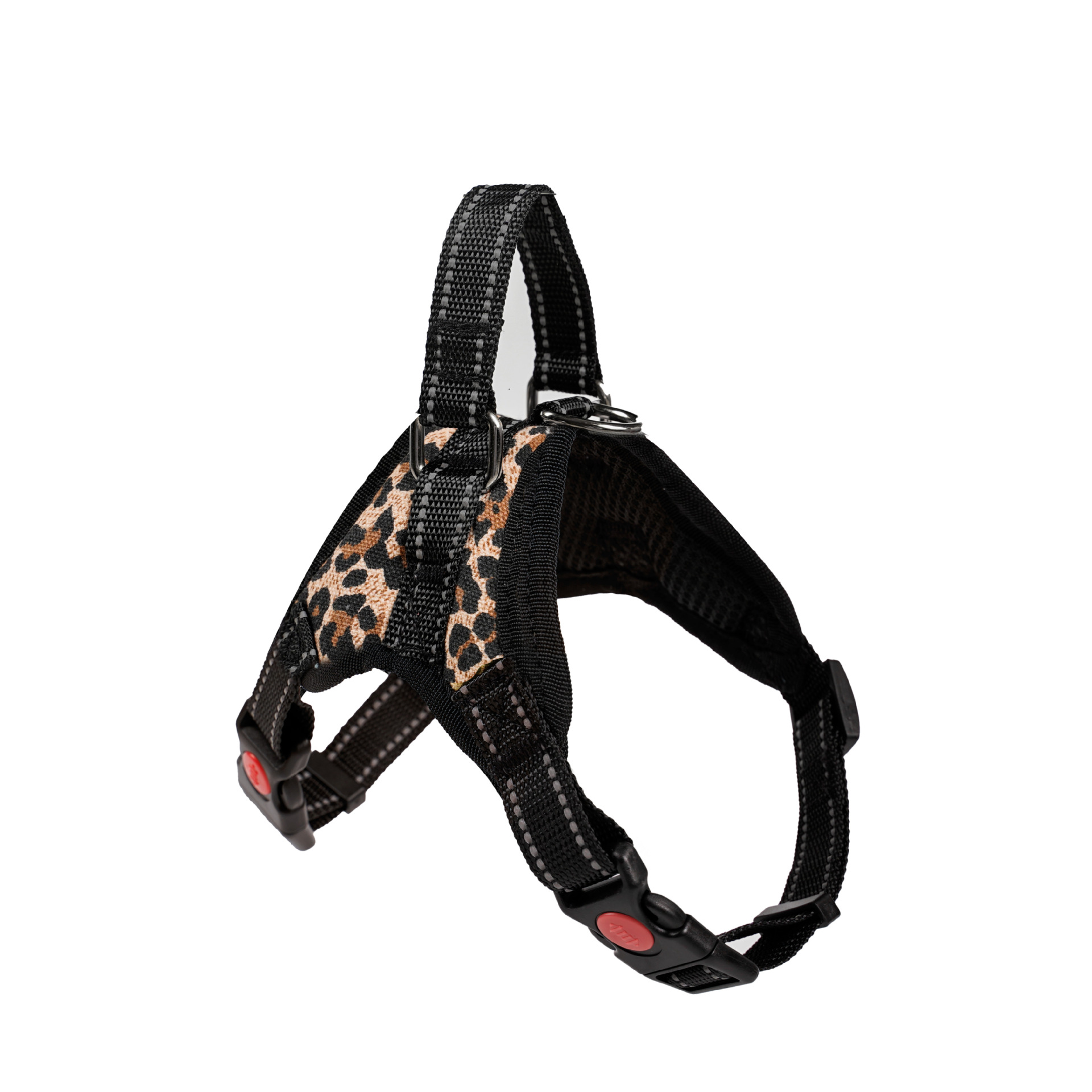 Leopardo