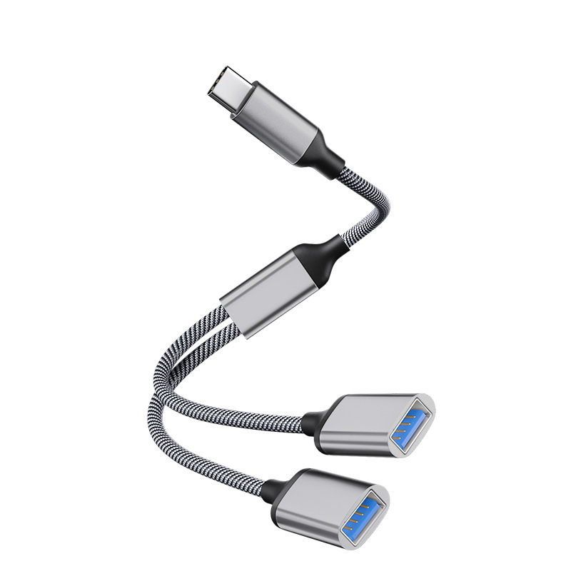Type-C to USB*2 (gray)
