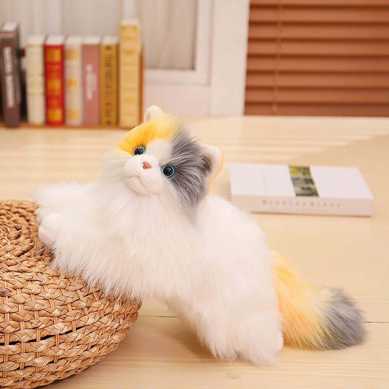 Chat calico
