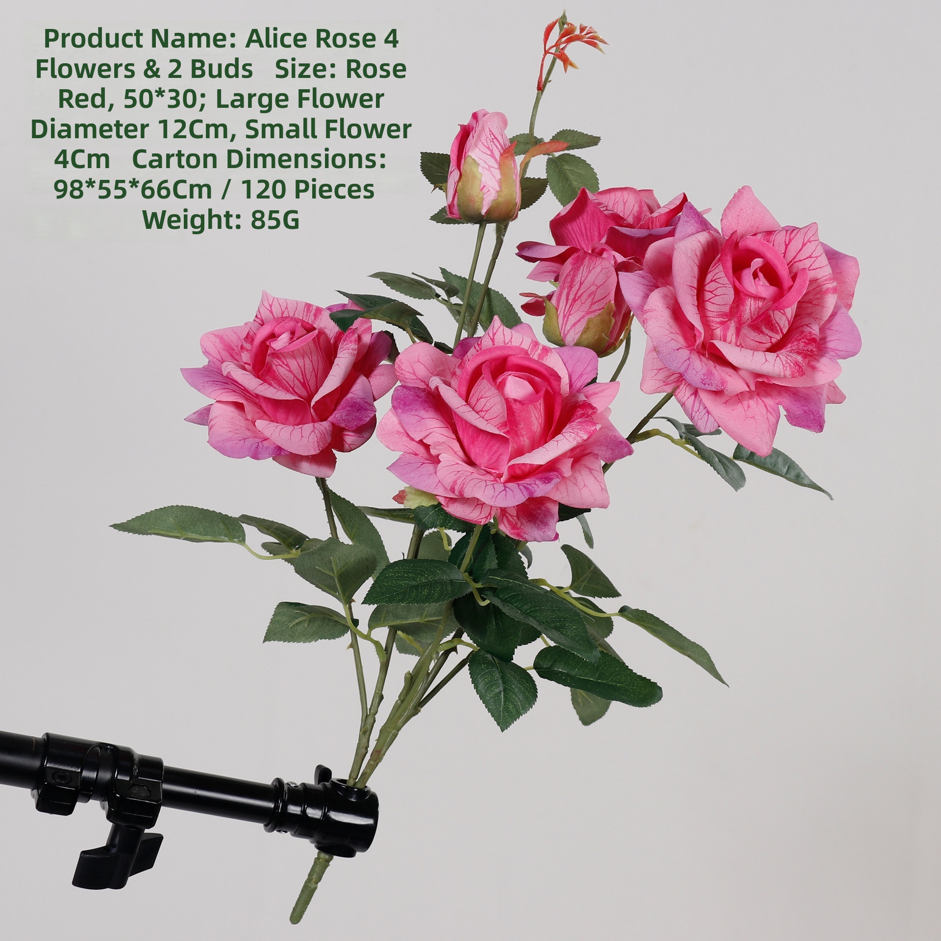 Rose garance