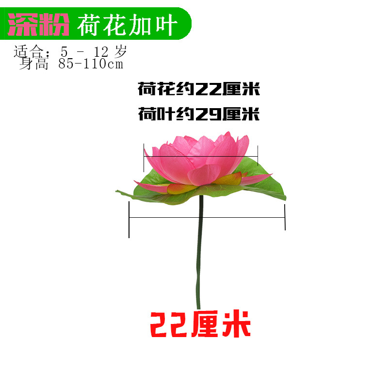 Lotus leaves deepen the pink lotus flowers