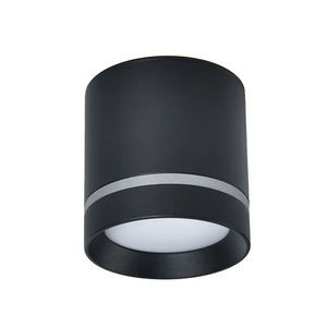 Modern tavan ışık alüminyum PC aşağı ışıkları LED Gx53 Cyinder yüzeye monte Spot ışık 9w 12w - Product Image 2