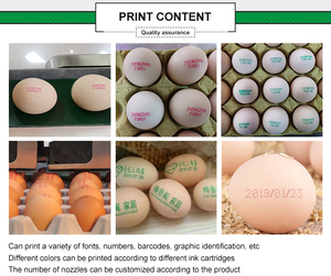 Yüksek verimli elektrikli yumurta damgalama yazıcı yumurta mürekkep püskürtmeli kodlama BASKI MAKİNESİ için hızlı kuru toplu kodlayıcı yumurta tarihi son kullanma - Product Image 4