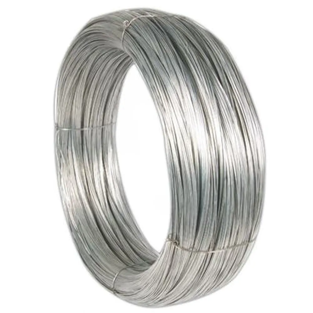 Factory Supply 7x19 Stainless Steel 304 316 Wire Rope 2mm Steel Cable