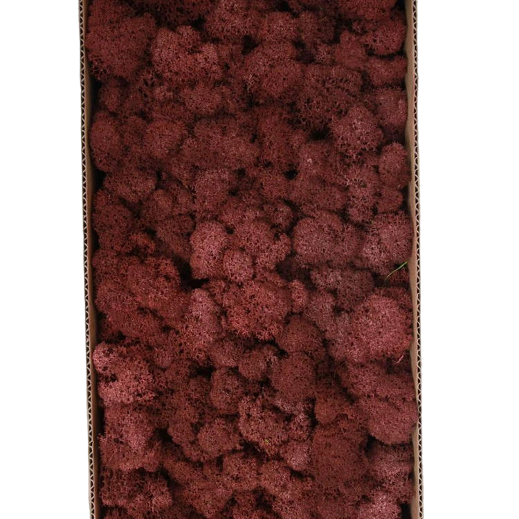 Coffee Brown 500g