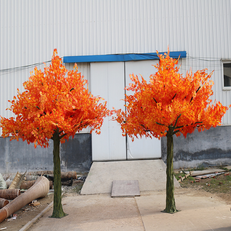 ERed flower leaf Ginkgo biloba plant tree