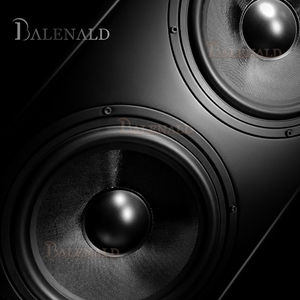 Balenald BN156デュアル8インチHiFiフロアスタンディングパッシブ300W出力アンプポータブルオーディオ家庭用マイク - Product Image 5