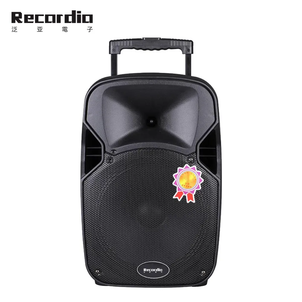 GAS-131 Portable Rechargeable 12 inch speaker Subwoofer trolley speaker karaoke subwoofer portable BT speaker with wireless mic