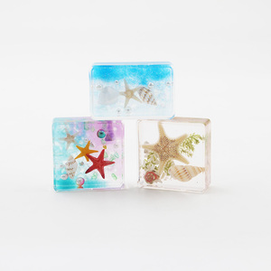 Embedded Sea <strong>Shells</strong> Sea <strong>Shell</strong> Specimen Large Sea <strong>Shells</strong> in Resin - Product Image 6