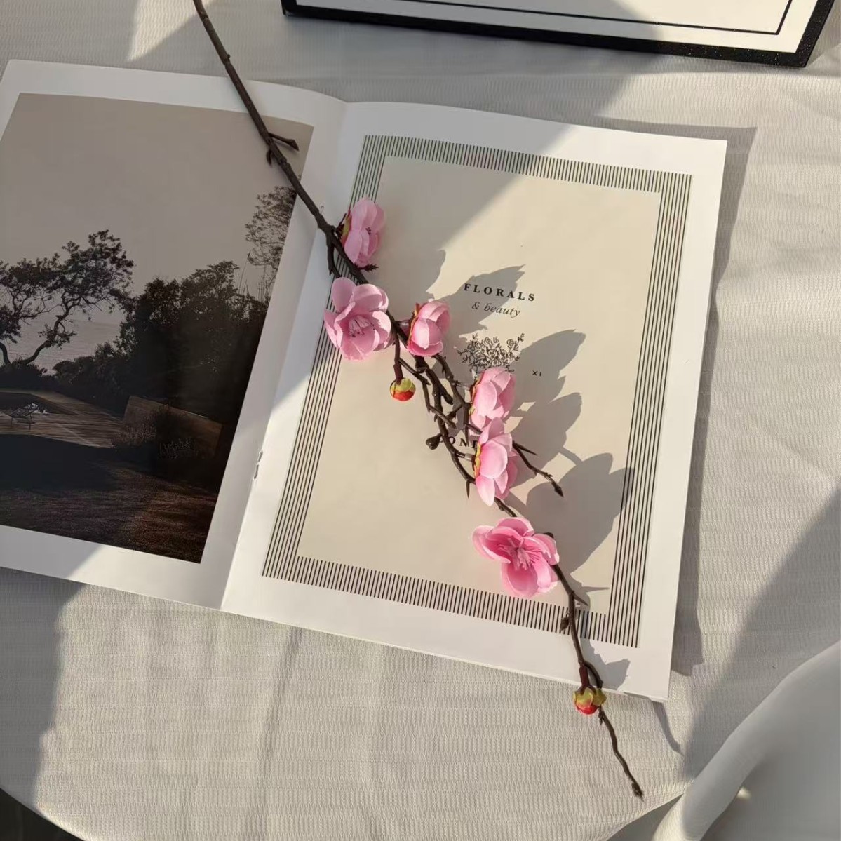 Ruyi plum blossom pink