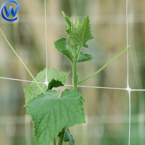 Rete a traliccio 5Ft X 750Ft 3X3X3 Pp rete a traliccio cetriolo 9Cm rete da arrampicata per ortaggi da giardinaggio - Product Image 1