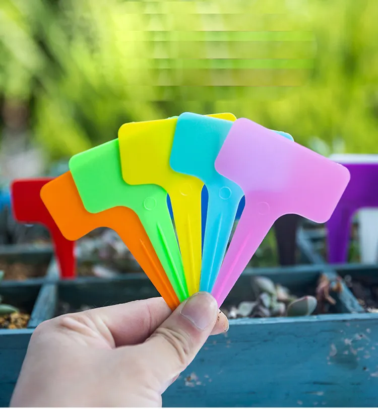 2024 T Shape PP Plastic Garden Plant Tag 12 Colors Available Name Tag Plant Markers Plastic Plant Tags