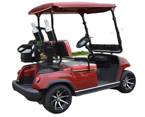 Factory Price 2-Seater Mini Golf Cart with DDP Shipping Support - Product Image 1