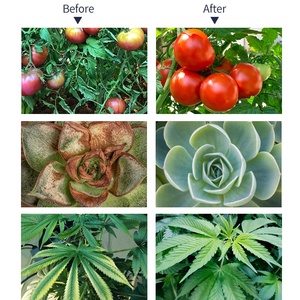 Brrina Good Price Factory Direct Greenhouse With Auto On/Off <strong>Timer</strong> <strong>4</strong>/9/14 Hours Planting Fixtures <strong>Led</strong> Grow Tube T5 Grow Light - Product Image 6