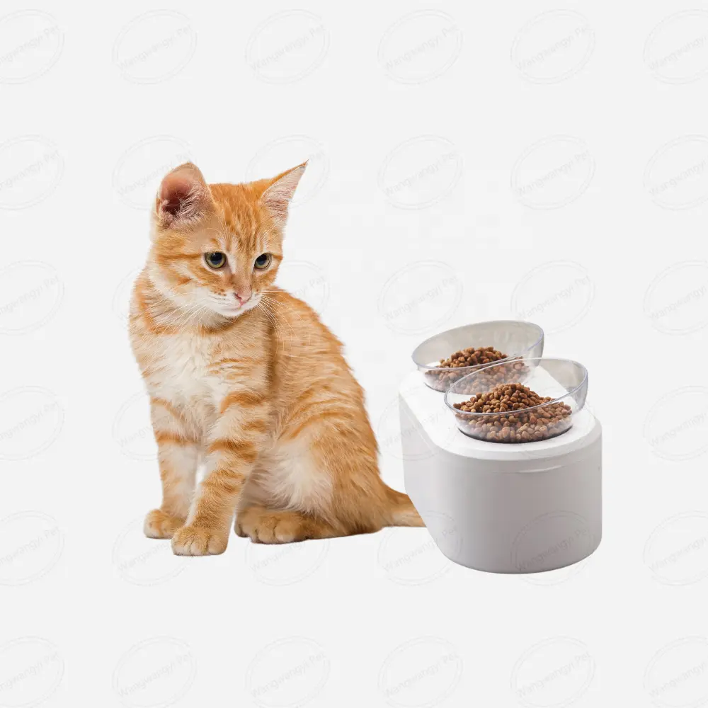 Tazón de comida doble para gatos antideslizante inclinado antivómitos, sin derrames, tazón de almacenamiento de alimentos para mascotas