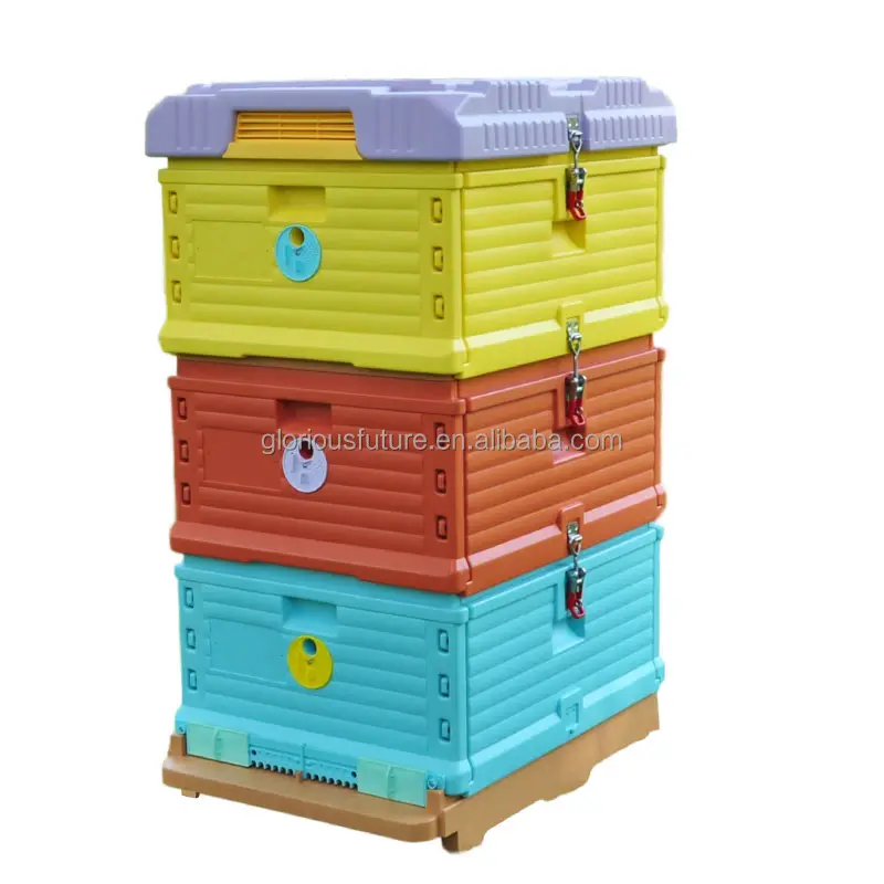 Precio barato equipo de apicultura tres capas colmena apícola plástico termo miel colmena de abejas para la venta