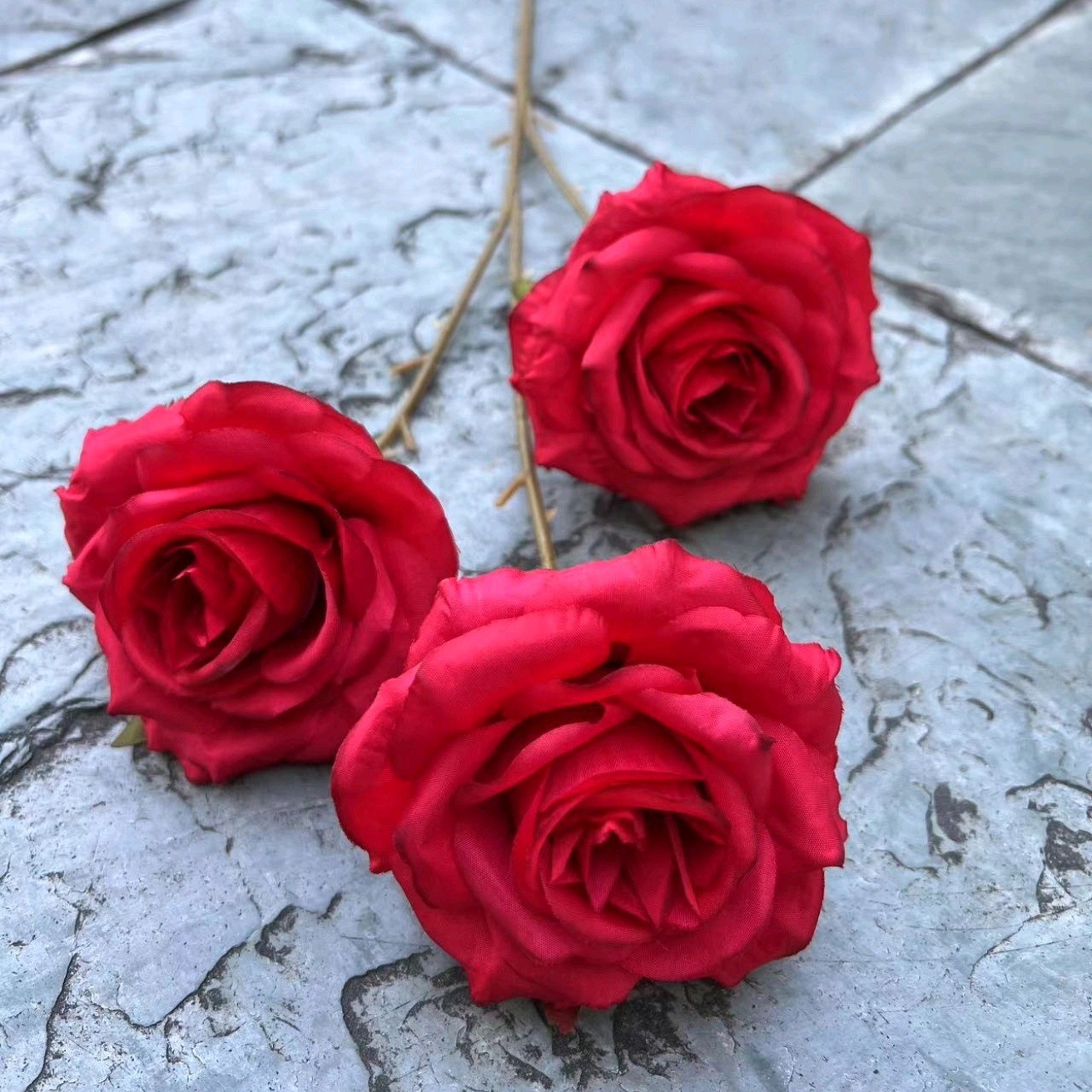 3 têtes de soleil rose rouge