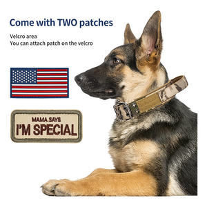 Collier de chien tactique en Nylon robuste Martingale collier de chien d'extérieur réglable avec poignée rembourrée douce convient aux grands chiens - Product Image 5