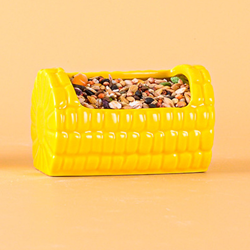 Assiette de maïs sucré jaune/jaune