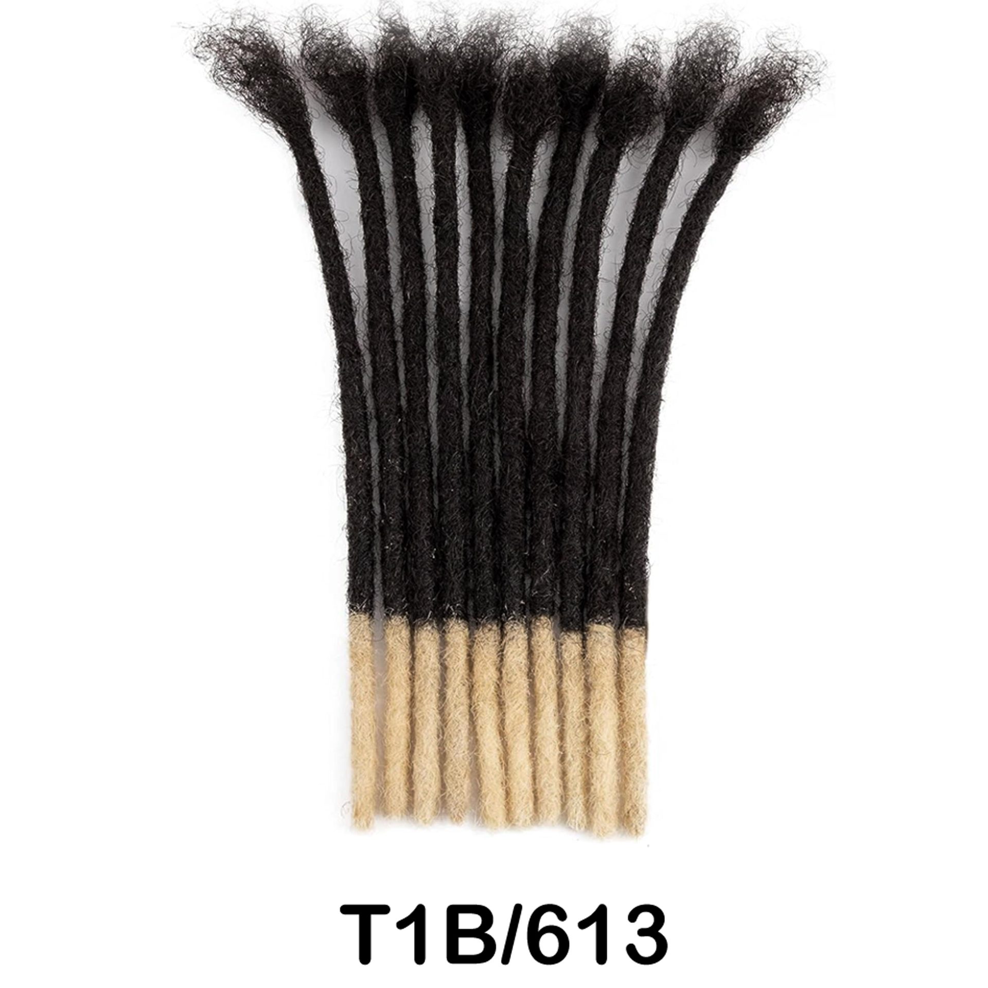 T1b613