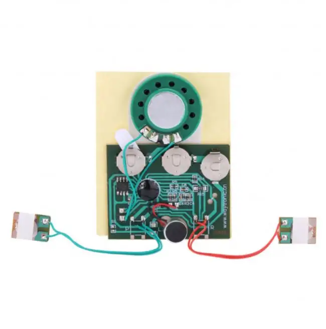 30 초 30 초 감광성 사운드 음성 오디오 음악 기록 가능한 레코더 보드 칩 프로그래머블 음악 모듈 인사말 카드